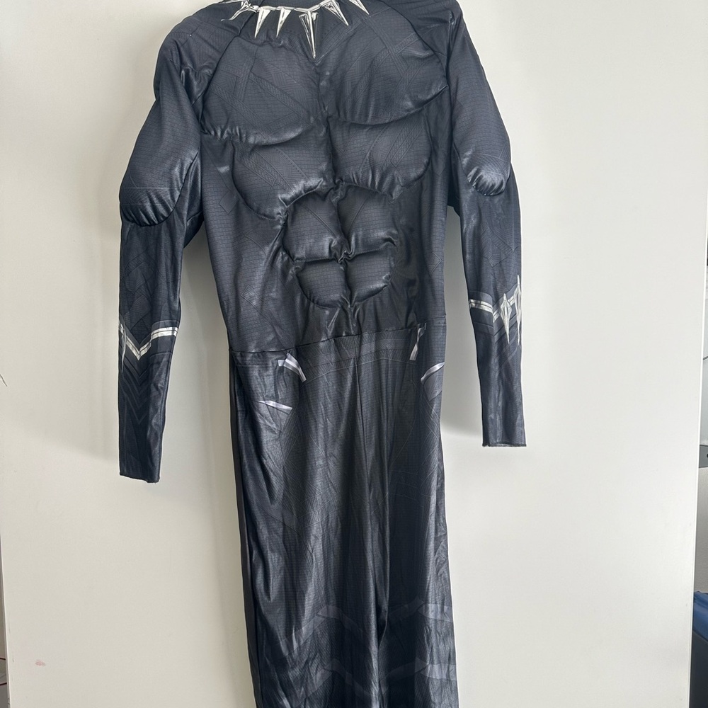 Spirit Black Panther Costume